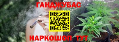 прущие грибы Брянск