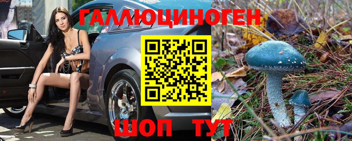 Россошь  Псилоцибиновые грибы Psilocybe  наркотики  Вход с VPN 